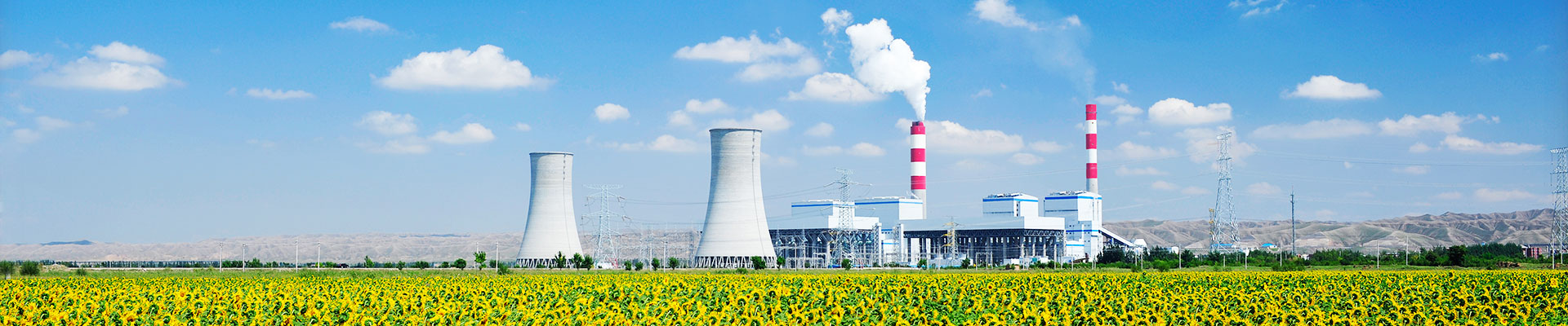 ZDDQ Power Quality soltuions for Chemical Industry