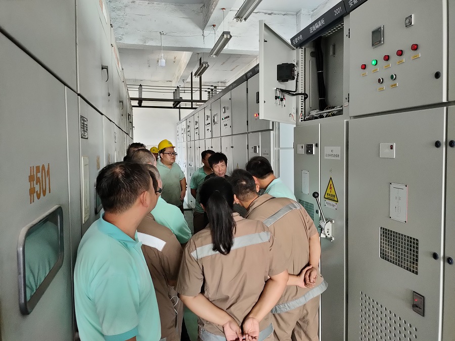 11kV 6 steps Capacitor banks